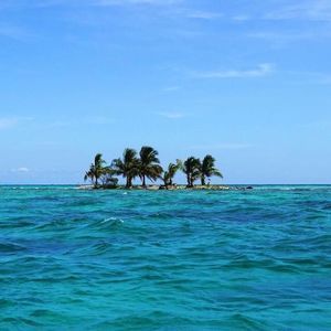 Meet your Posher, Vicky